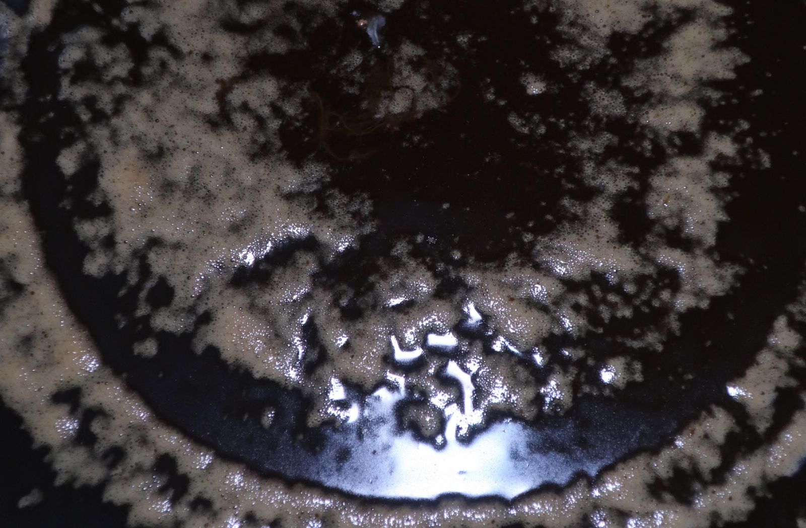 01/2026 a place to dye 52,49561° N, 13,24779° E